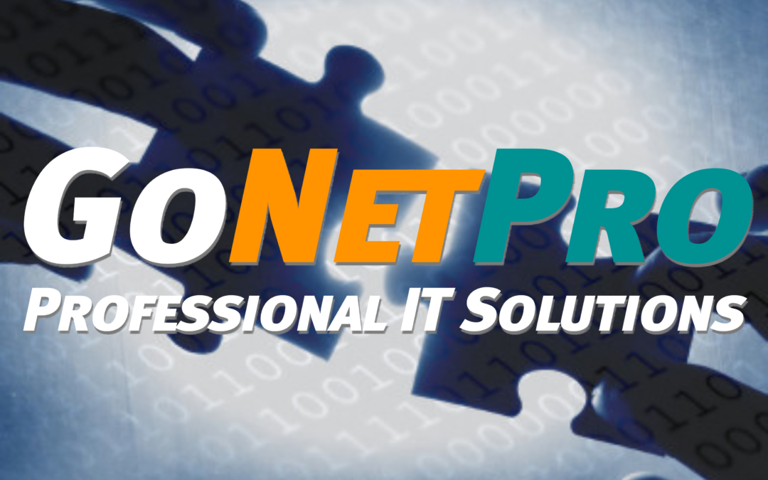 GoNetPro – Professional IT Solutions